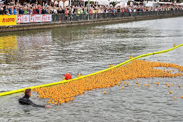 Maschseefest2014   776.jpg